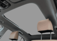 Hyundai Creta 1.0 TGDI Flex Platinum Automático