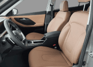 Hyundai Creta 1.0 TGDI Flex Platinum Automático