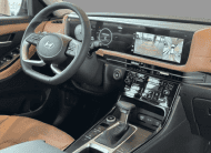 Hyundai Creta 1.0 TGDI Flex Platinum Automático