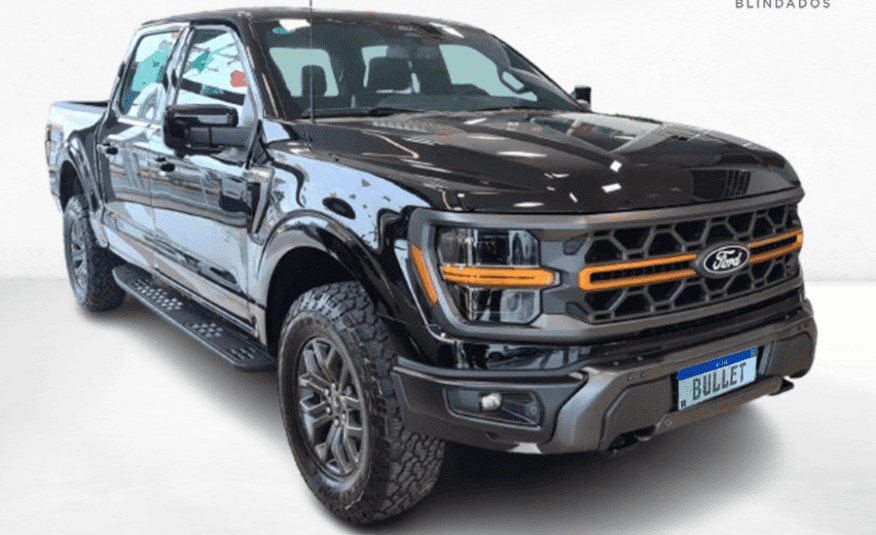 Ford F-150 5.0 V8 Gasolina CD Tremor FX4 Automático