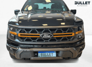 Ford F-150 5.0 V8 Gasolina CD Tremor FX4 Automático