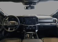 Ford F-150 5.0 V8 Gasolina CD Tremor FX4 Automático