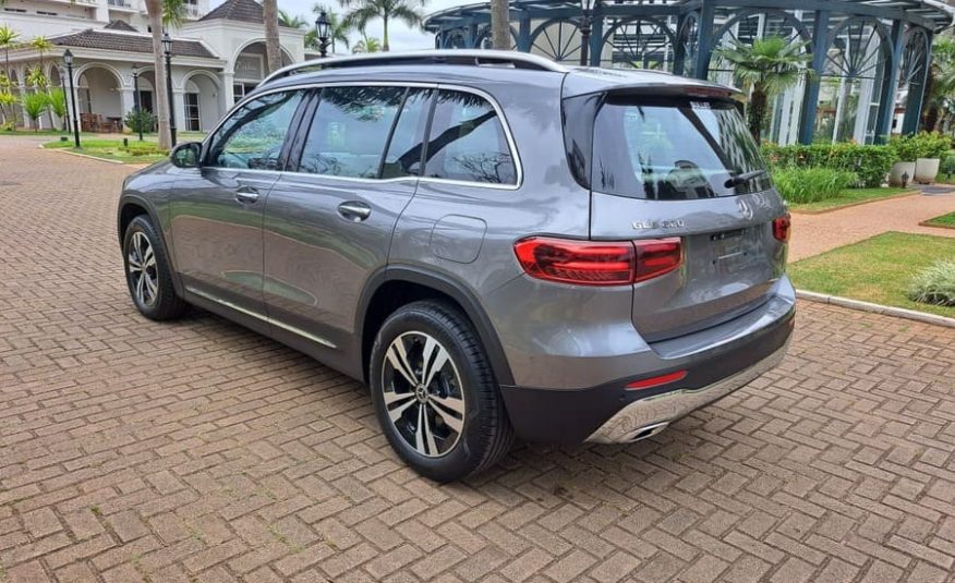 Mercedes-Benz GLB 220 2.0 Mhev Progressive 4Matic 8G-DCT
