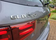 Mercedes-Benz GLB 220 2.0 Mhev Progressive 4Matic 8G-DCT
