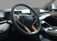 GWM HAVAL H6 PHEV19 E-TRACTION